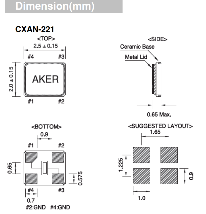 CXAN-221 2520